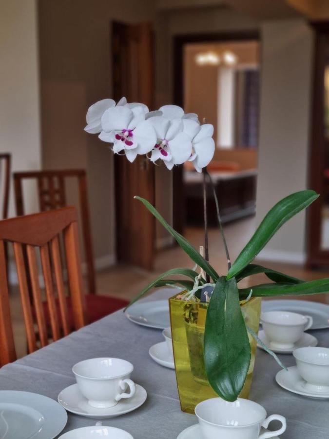 Almaty Apartment 76 Dış mekan fotoğraf